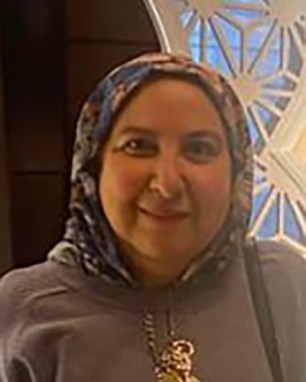 السيدة / عبير حسين